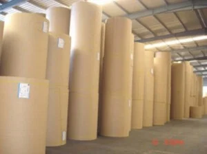 Công Ty TNHH Sản Xuất Và Thương Mại Giấy Hải Tiến