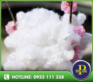 Bông Gòn Phú Lộc L.A – Công Ty TNHH Quốc Tế Phú Lộc L.A