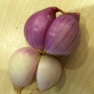 Công Ty Cổ Phần Quốc Tế Bamboo