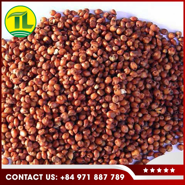 Nông Sản Tiên Lữ – Công Ty TNHH Dịch Vụ Tiên Lữ