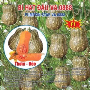 Việt á Seeds – Công Ty TNHH Phát Triển Nông Nghiệp Việt Á