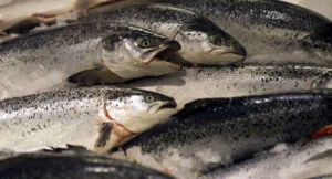 Giao Nhận TOPASIA – Công Ty TNHH TOPASIA  Holding