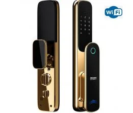 Công Ty TNHH Thương Mại Dịch Vụ Xuất Nhập Khẩu Tuấn Thịnh