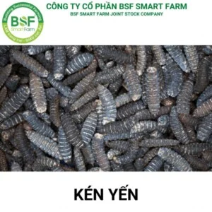 Ken20yen201