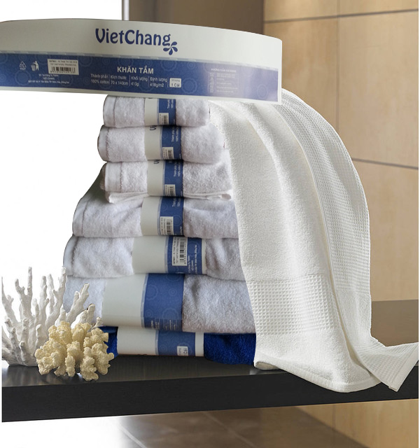 Công Ty TNHH Việt Chang