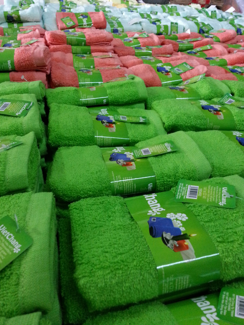 Công Ty TNHH Việt Chang