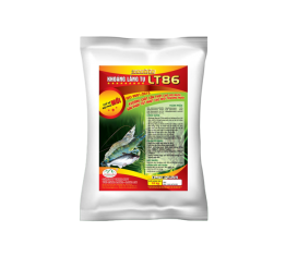 Vôi Càng Long – Công Ty TNHH Một Thành Viên Vôi Càng Long Hà Nam