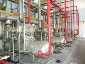 Công Ty Cổ Phần Chứng Nhận Và Kiểm Định ASIASAFE