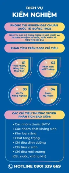 Công Ty TNHH Công Nghệ NHONHO