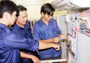 Chi Nhánh Bắc Giang – Công Ty TNHH DV Bảo Ngọc Linh – BNL