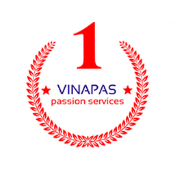 logo2020Vinapas