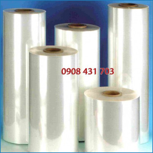 Chi Nhánh Bình Dương – Công Ty TNHH Tâm Phương Trinh