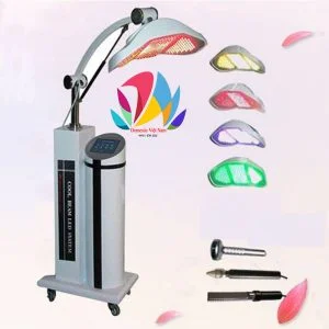 Chi Nhánh – Công Ty TNHH Domestic Việt Nam