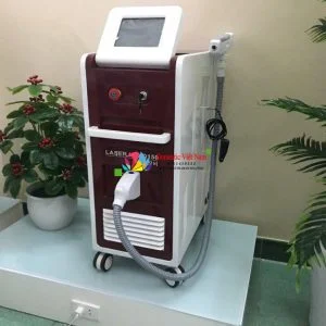 Chi Nhánh – Công Ty TNHH Domestic Việt Nam