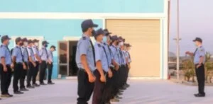 Chi Nhánh – Công Ty Cổ Phần Thương Mại Quốc Tế An Phú Group