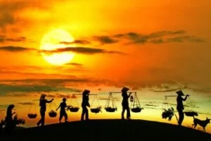 Công Ty TNHH Ixoline