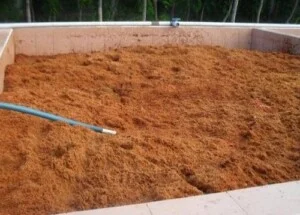 Công Ty TNHH Cocogreen