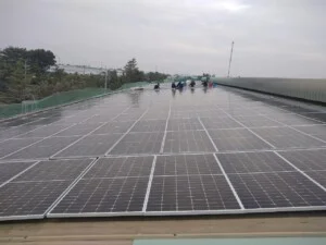 Công Ty TNHH  Dịch Vụ Thương Mại Xuất Nhập Khẩu Tiến Đức