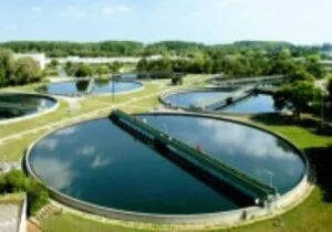 Công Ty TNHH Xây Dựng Và Môi Trường Green Việt Nam