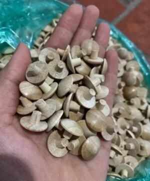 Cơ Sở Sản Xuất Nút Bít Gỗ Các Loại