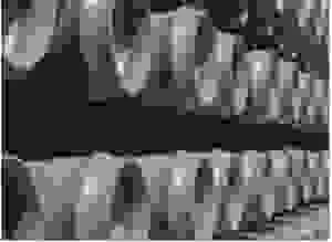 ống nhựa Lê Hưng Nam – Công Ty TNHH MTV Lê Hưng Nam