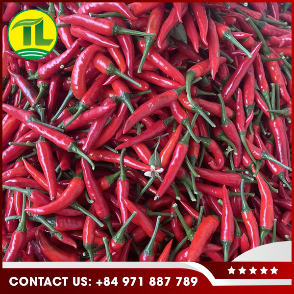 Nông Sản Tiên Lữ – Công Ty TNHH Dịch Vụ Tiên Lữ