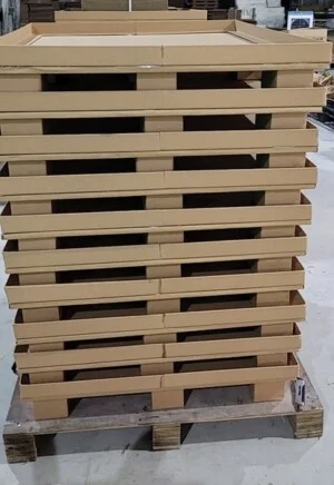 Pallet20giay201