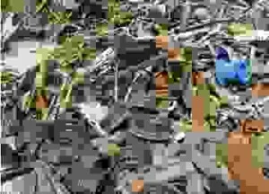 Cơ Sở Thu Mua Phế Liệu Môi Trường Thiên Phát