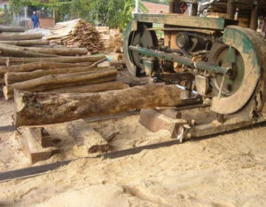 Cơ Sở Sản Xuất Chế Biến Gỗ Bảo Nguyên