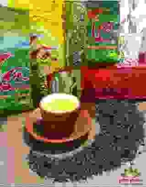 Công Ty CP TM Vật Liệu Xây Dựng Bảo Phát – Nhà Phân Phối Cấp 1 Ống Nhựa Tại Hà Nội