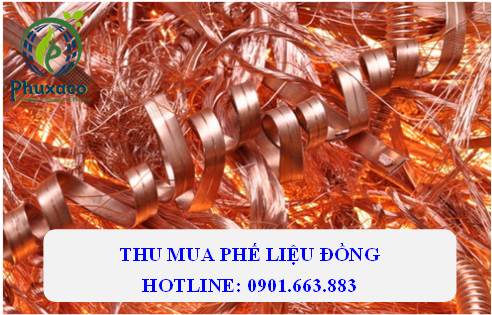 Thu Mua Phế Liệu Phú Xuân – Công Ty Cổ Phần Môi Trường Phú Xuân