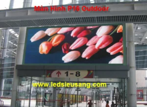 Công Ty TNHH Sĩ Nguyễn