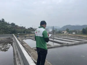 Môi Trường Xây Dựng ACE – Công Ty TNHH Môi Trường Xây Dựng ACE