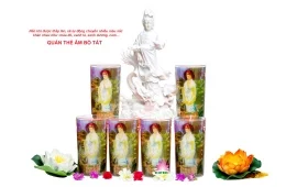 Nến Hợp Nhất – Công Ty TNHH HC Hợp Nhất