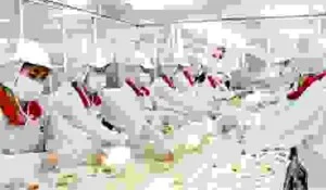 Chi Nhánh Bắc Giang – Công Ty TNHH DV Bảo Ngọc Linh – BNL