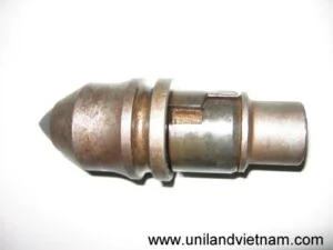 Rang20khoan20da