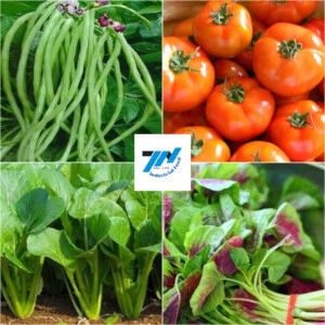 Thực Phẩm Thành Nam – Công Ty Cổ Phần Nông Sản Thực Phẩm Thành Nam