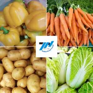 Thực Phẩm Thành Nam – Công Ty Cổ Phần Nông Sản Thực Phẩm Thành Nam