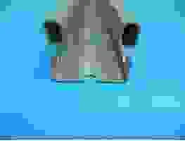 Chubu Engineering Việt Nam – Công Ty TNHH Chubu Engineering Việt Nam