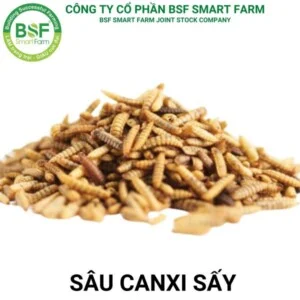 Công Ty Cổ Phần BSF Smart Farm