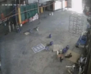 Sơn Nước Quảng Nam – Công Ty TNHH Thương Mại Đầu Tư Xây Dựng Quảng Tín