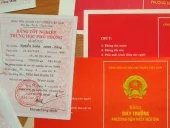 Dịch Thuật Việt Nam – Công Ty Cổ Phần Dịch Thuật – Đào Tạo Và Du Lịch Việt Nam