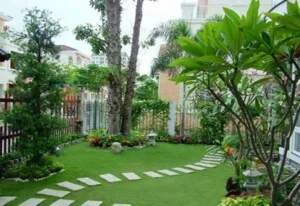 Cây Xanh Miền Nam – Công Ty TNHH Vệ Sinh Cây Xanh Miền Nam