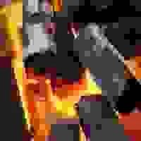 Công Ty Cổ Phần Lửa Việt Xanh