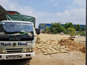 Công Ty TNHH Xuất Nhập Khẩu Quang Lịch